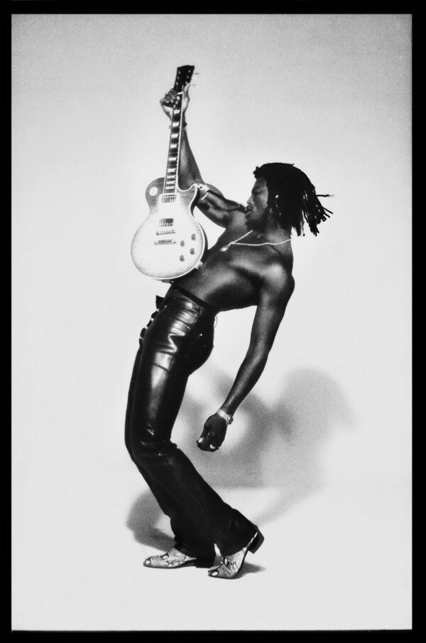 Seal Musician 1: 100 – A2 Limited Edition Prints. Signed and Numbered ...