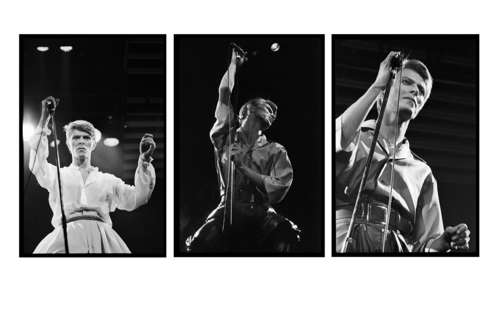 David Bowie Wall Art. Limited Editions