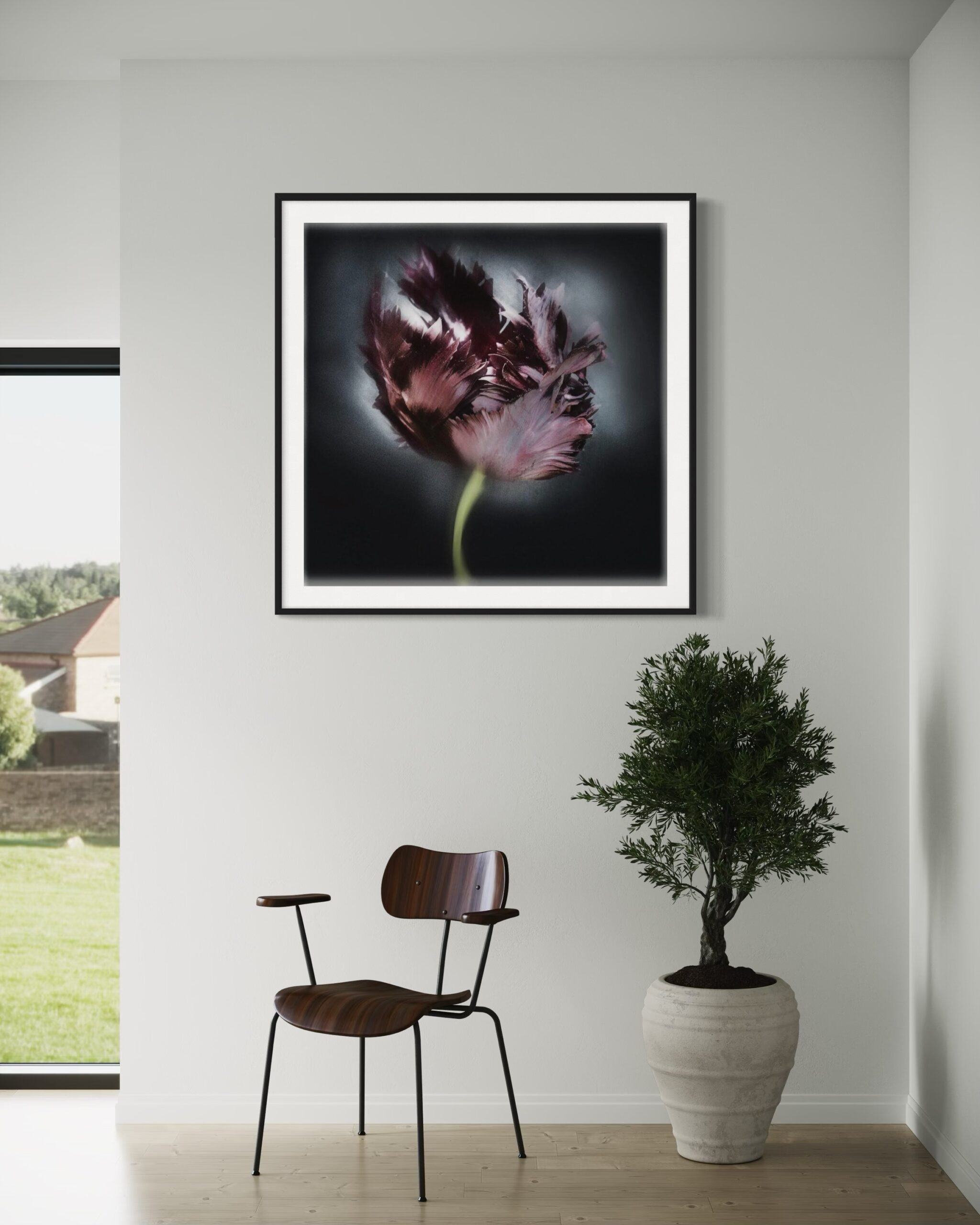 Parrot Tulip. Wall Art. Parrot Tulip. Wall Art. Limited Editions