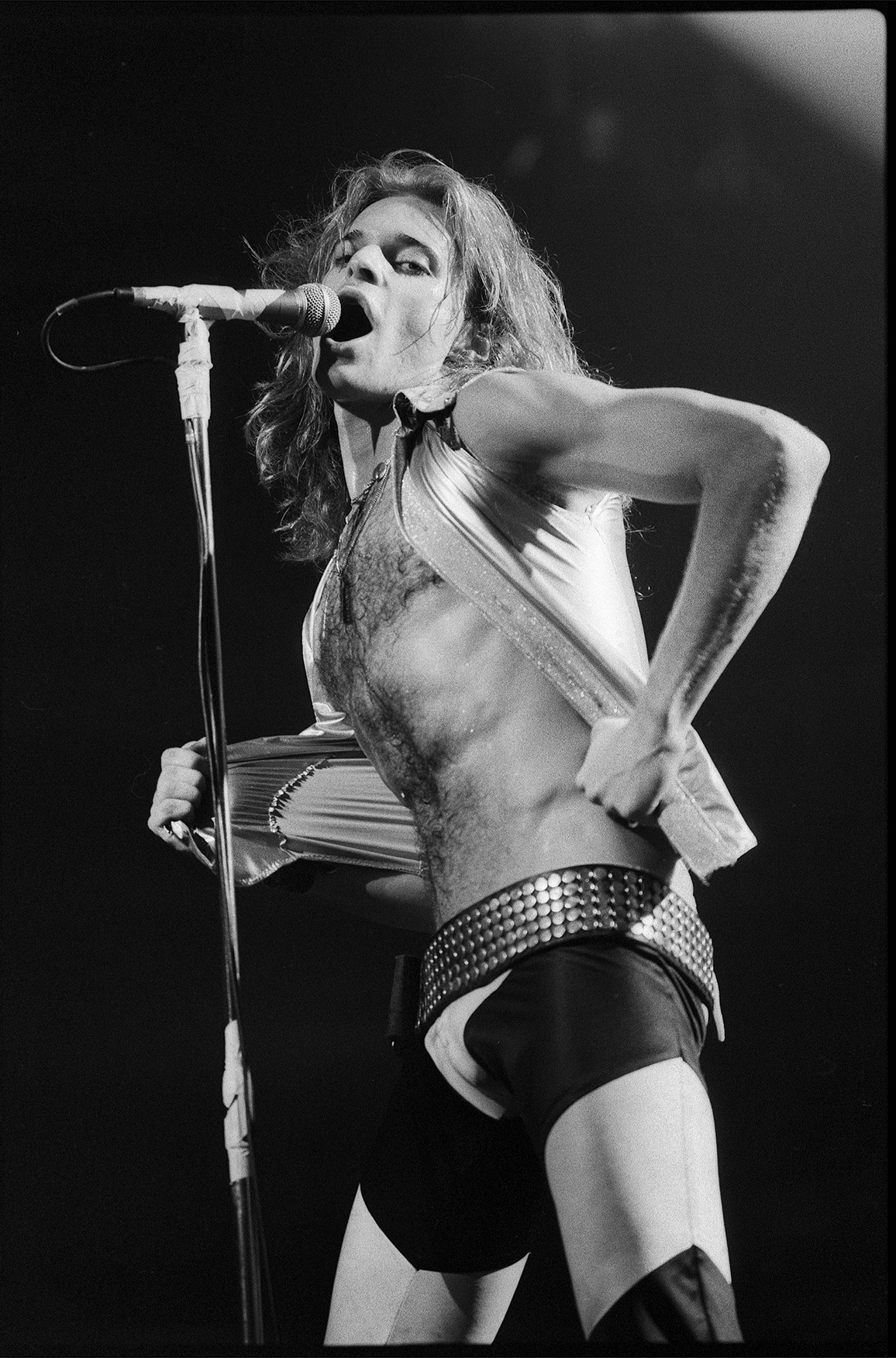 VAN HALEN David Lee Roth Singer Wall Art. Limited Editions: